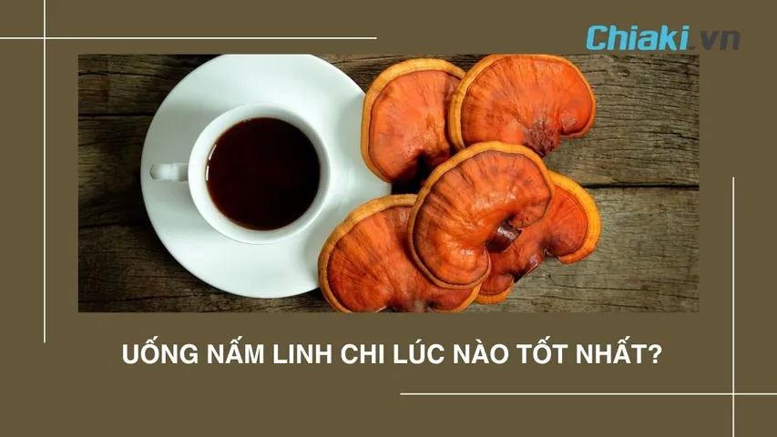 Uống nấm linh chi vào lúc nào tốt nhất? Nên uống trong bao lâu?