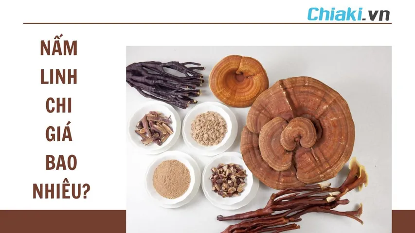 Giá nấm linh chi là bao nhiêu? Nên mua ở đâu uy tín và chất lượng?