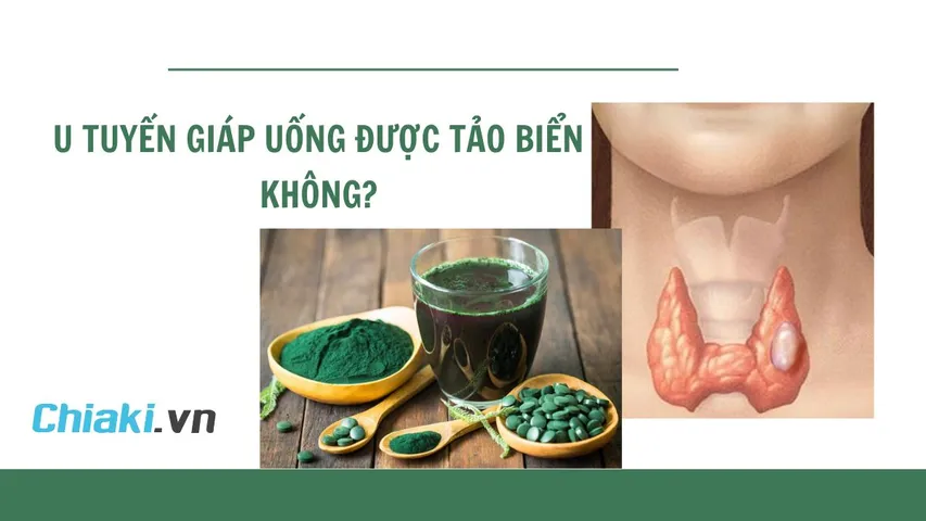 U tuyến giáp có uống được tảo biển không? Lưu ý khi uống