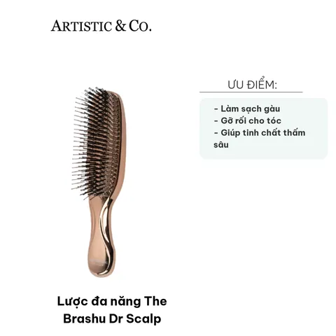 Lược Đa Năng The Brashu Dr Scalp - Lược Massage Tóc Chăm Sóc Da Đầu, Làm Sạch Gàu, Kích Thích Phát Triển Nang Tóc