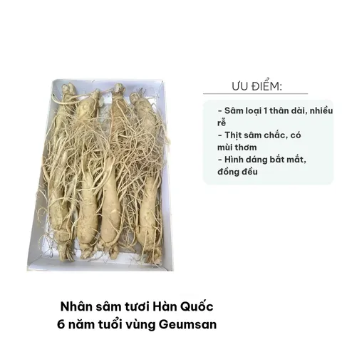Nhân Sâm Tươi Hàn Quốc 6 Năm Tuổi Geumsan - Sâm Tốt Cho Sức Khỏe, Củ Đẹp, Chất Lượng Cao, Hỗ Trợ Giảm Căng Thẳng, Tăng Cường Đề Kháng