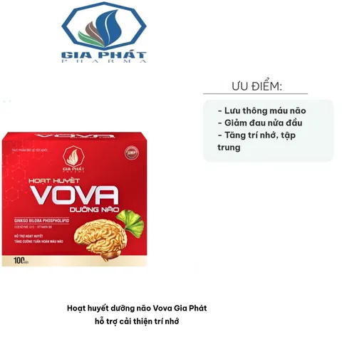 Viên uống hoạt huyết dưỡng não Vova Gia Phát - Hỗ trợ cải thiện trí nhớ, tăng cường tuần hoàn máu - Hộp 100 viên thiên nhiên
