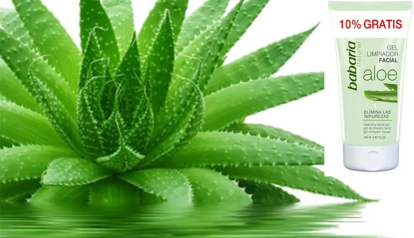 Gel Rửa Mặt Lô Hội Babaria Aloe Elimina Las - Dưỡng Da Sáng Mịn, Làm Sạch Nhẹ Nhàng, Dung Tích 165ml