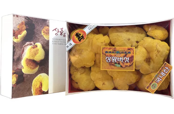 Nấm Linh Chi Vàng Thiên Nhiên Cao Cấp 365 Hàn Quốc 1kg - Tăng Cường Sức Khỏe, Hỗ Trợ Làm Đẹp Da, Thải Độc Tự Nhiên