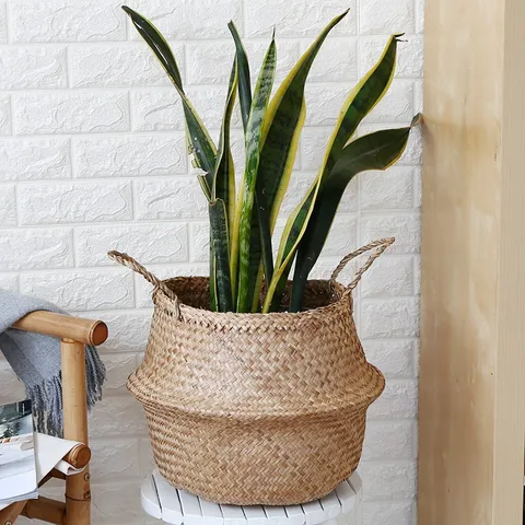 Giỏ Cói Trồng Cây Thủ Công - Vật Trang Trí Tự Nhiên Cho Phòng Khách, Homestay, Quán Cà Phê - Thân Thiện Môi Trường