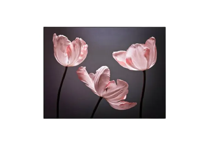 Tranh Canvas Hoa Tulip Tối Giản - Trang Trí Phòng Khách Sang Trọng, Thiết Kế Độc Đáo Cho Không Gian Sống Tươi Mới
