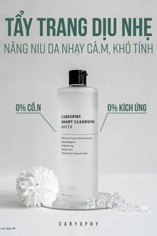 Nước Tẩy Trang Thông Minh Caryophy Smart Cleansing Water - Không Cồn, Dịu Nhẹ, 5 Tính Năng Chăm Sóc Da Cho Da Nhạy Cảm Và Da Mụn
