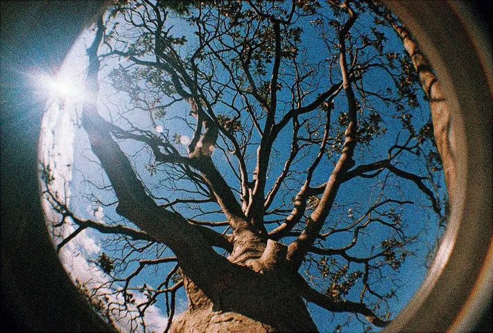 Máy ảnh film 35mm Lomography Lomo Fisheye - Nhiếp ảnh độc đáo với góc nhìn rộng, lưu giữ khoảnh khắc ấn tượng