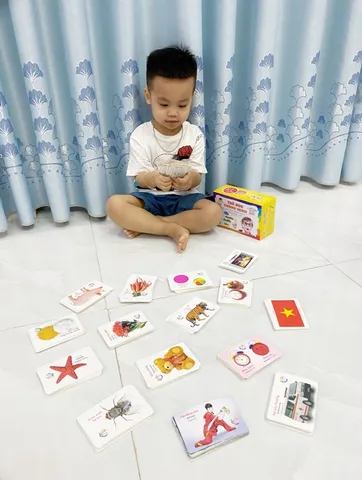 Bộ 416 Thẻ Học Song Ngữ Anh Việt - 16 Chủ Đề Học Tập Thông Minh Dành Cho Trẻ Em - Phát Triển Tư Duy Sáng Tạo