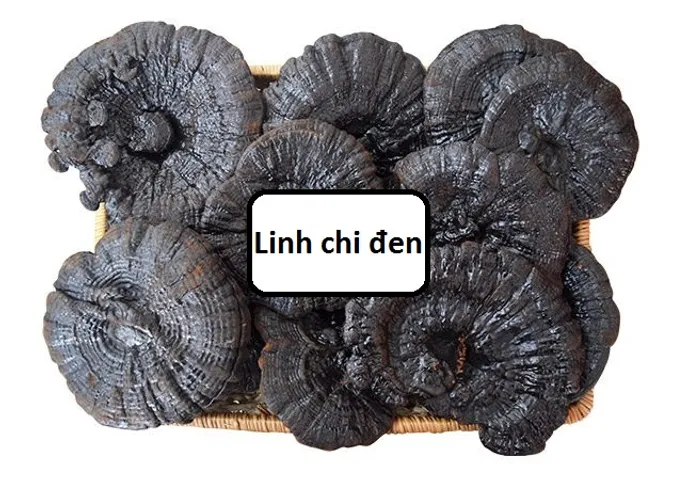 Nấm Linh Chi Đen Xích Chi Bào Tử 1kg - Sản Phẩm Quý Hiếm Từ Hàn Quốc Hỗ Trợ Sức Khỏe & Miễn Dịch Tốt Nhất