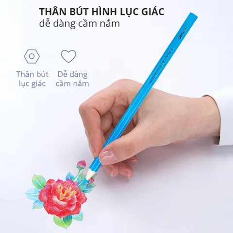 Bút Chì Màu Nước Deli Dạng Cốc 68129/68130 - Chất Lượng Cao, Màu Sắc Tươi Sáng, Dễ Dàng Tán Trên Giấy