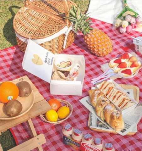 Thảm Dã Ngoại Gấp Gọn Chống Thấm Nước - Thảm Picnic Kích Thước 2mx2m Hoàn Hảo Cho Gia Đình Và Trẻ Em Sử Dụng Ngoài Trời