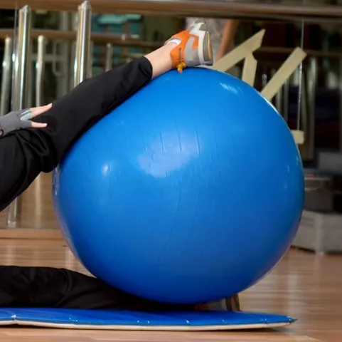 Bóng Tập Yoga TLM Cao Cấp 65cm - Siêu Chịu Lực 200kg, Chất Liệu Cao Su Đàn Hồi, Massage, Phù Hợp Tập Gym Giúp Giảm Cân