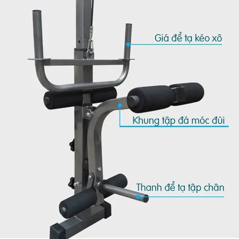 Ghế Tập Tạ Đa Năng Thanh Xuân - Khung Thép Chắc Chắn, Tiện Lợi Tập Gym Tại Nhà, Lắp Đặt Đơn Giản, Tối Đa 100kg