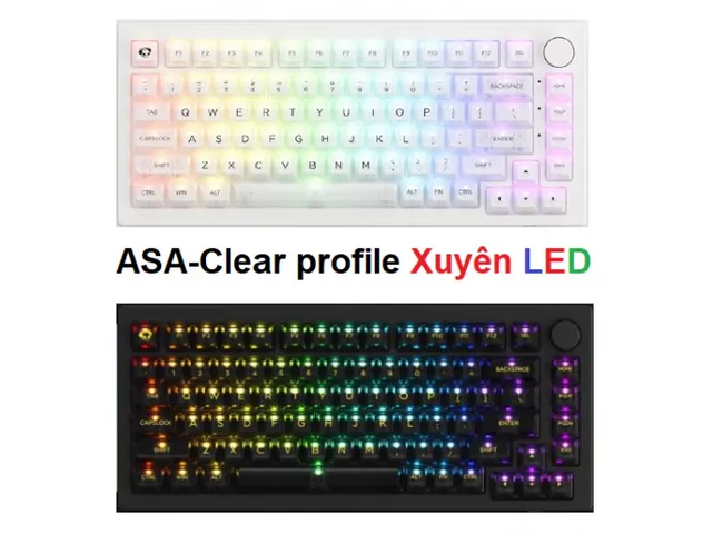 Bộ Nút Phím Cơ Trong Suốt Xuyên LED Akko Keycap Set ASA Clear - Keycap Bền Đẹp, Chống Xước, 155 Nút Cho Trải Nghiệm RGB Tuyệt Hảo