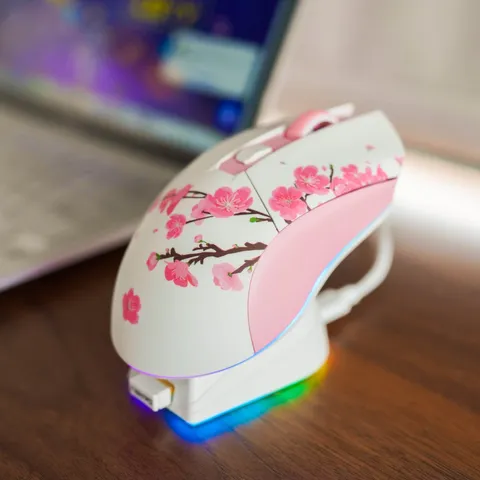 Chuột Không Dây Gaming Dareu EM901X RGB Led - Thiết Kế Hiện Đại, Dock Sạc Nhanh, Thời Gian Sử Dụng 18 Giờ