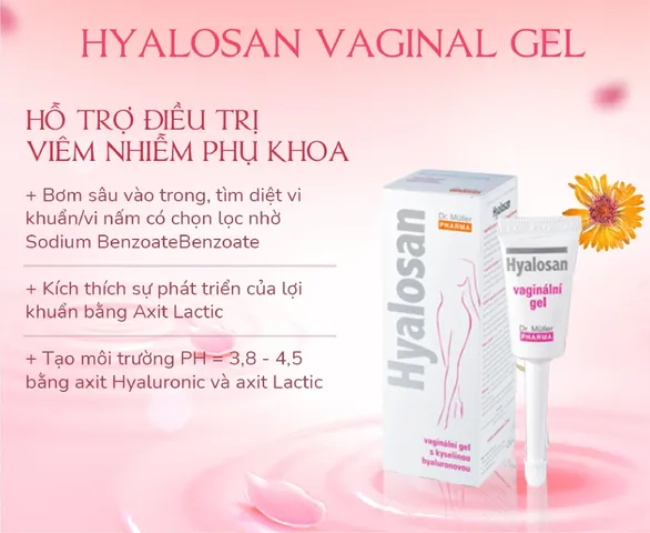 Gel Phòng Ngừa Viêm Nhiễm Phụ Khoa Hyalosan Vaginal - Hỗ Trợ Dưỡng Ẩm, Cân Bằng pH, An Toàn Cho Phụ Nữ Có Thai