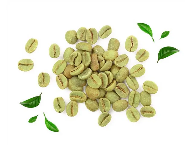 Viên Uống Herba Direkt Gruner Kaffee 500mg Hỗ Trợ Giảm Cân - Chiết Xuất Cà Phê Xanh Tăng Cường Chuyển Hóa, Đốt Cháy Mỡ Thừa