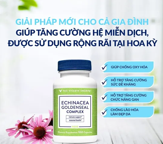 Viên uống Echinacea Goldenseal Complex The Vitamin Shoppe - Hỗ trợ tăng đề kháng, giảm cảm cúm, bảo vệ sức khỏe đổi thời tiết