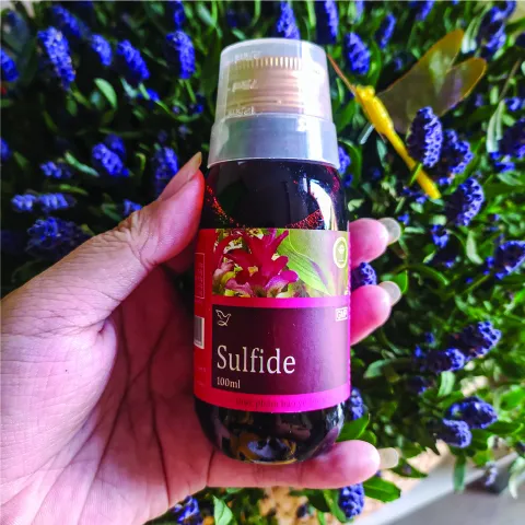 Siro Hỗ Trợ Giảm Ho Sulfide Việt Medical 100ml - Giúp Giảm Ho Khan, Có Đờm, Đau Rát Họng - Dễ Uống, Hương Vị Ngon