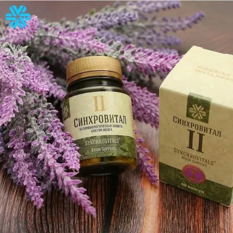 Viên uống hỗ trợ não bộ Synchrovitals II Siberian Health - Tăng cường trí nhớ & tuần hoàn não, cải thiện tình trạng đau đầu & kém tập trung, 60 viên