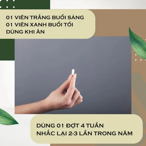 Viên Uống Hỗ Trợ Tăng Cường Chức Năng Gan Synchrovitals IV - Bổ Gan Từ Thiên Nhiên, Giải Độc, Hỗ Trợ Sức Khỏe Gan, 60 Viên