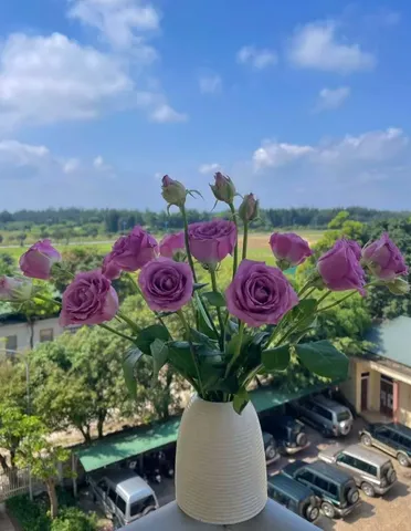 Lọ Hoa Mini Bình Sứ Bát Tràng Dáng Chuông - Trang Trí Nhà Cửa Sang Trọng, Hiện Đại, Cắm Hoa Khô/Tươi