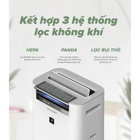 Máy Lọc Không Khí và Tạo Ẩm Sharp KC-G50EV-W 38m2 - Công Nghệ Plasmacluster, Tiết Kiệm Điện, Hoạt Động Thông Minh, Thiết Kế Gọn Nhẹ