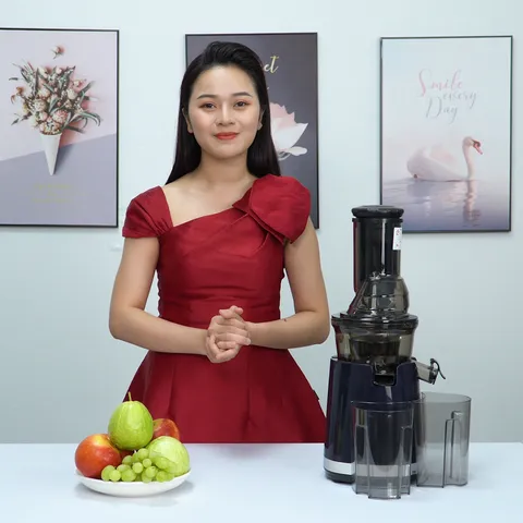 Máy Ép Chậm Gertech GT-J206 - Công Suất 250W, Ép Nước Rau Củ, Trái Cây, Ngũ Cốc - Dễ Sử Dụng, Bảo Quản Dưỡng Chất Tối Ưu