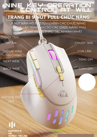 Chuột Gaming Ziyou M2 LED RGB 12800 DPI - Thiết Kế Công Thái Học Hỗ Trợ Macro Cho Game Thủ Chuyên Nghiệp