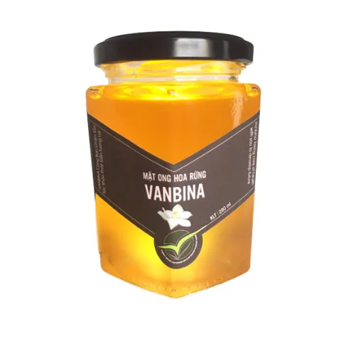 Mật Ong Rừng Nguyên Chất Vanbina 545gr - Siêu Phẩm Nguyên Chất Chống Vi Khuẩn, Hỗ Trợ Tiêu Hóa và Làm Đẹp Da