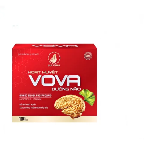 Viên uống hoạt huyết dưỡng não Vova Gia Phát - Hỗ trợ cải thiện trí nhớ, tăng cường tuần hoàn máu - Hộp 100 viên thiên nhiên