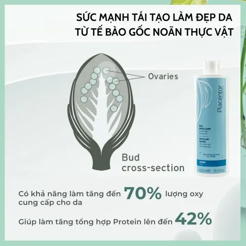 Nước Tẩy Trang Placentor Micellar Water 400ml - Cho Da Dầu, Hỗn Hợp, Làm Sạch Makeup, Cấp Ẩm, Bảo Vệ Da Chống Oxy Hóa