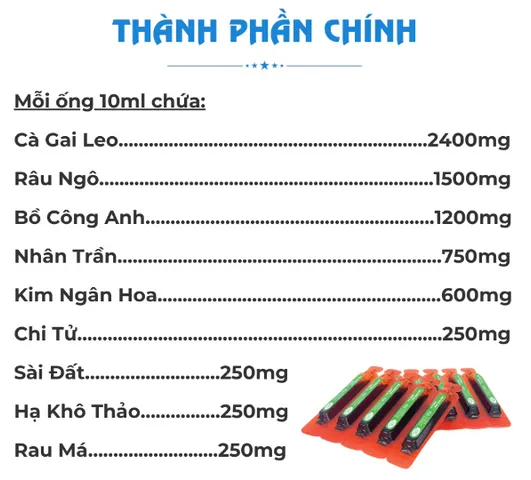 Siro Bảo Nhất Gan Baby Gia Phát - Hỗ trợ thanh nhiệt, giải độc gan cho trẻ từ 1 tuổi, tăng cường miễn dịch tự nhiên, dễ hấp thu.