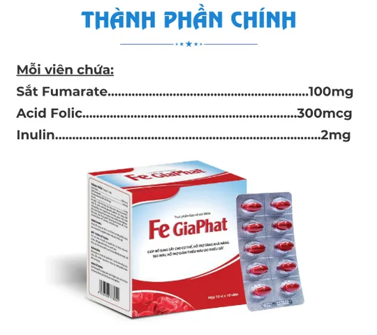 Viên Uống Bổ Sung Sắt Bổ Máu Fe Gia Phát - Hỗ Trợ Thiếu Máu, Chứa Folic Acid Tốt Cho Mẹ Bầu - Hộp 100 Viên