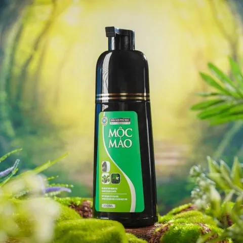 Bộ Chăm Sóc Tóc Mộc Mao - Dầu Gội & Xịt Dưỡng Giảm Rụng, Phủ Bạc - Hỗ Trợ Đen Tóc Chắc Khỏe cho Nam Nữ