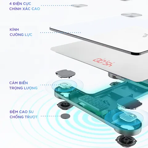 Cân điện tử Chido CDBodyFit - Theo dõi chỉ số sức khỏe, kết nối FeelFit, trọng lượng tối đa 180kg, thiết kế gọn nhẹ hiện đại