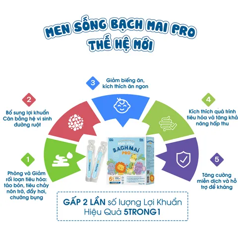 Men sống Bạch Mai Pro - Hỗ trợ bổ sung lợi khuẩn đường ruột, cải thiện tiêu hóa - Hộp 15 ống x 10ml