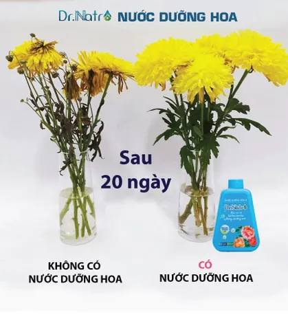Combo 10 Chai Nước Dưỡng Hoa Dr.Natro Cao Cấp Công Nghệ Nhật Bản