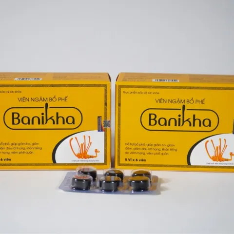 Viên Ngậm Bổ Phế Banikha - Hỗ Trợ Giảm Ho Từ Thiên Nhiên, Bảo Vệ Đường Hô Hấp, Duy Trì Sức Khỏe, Hộp 30 Viên