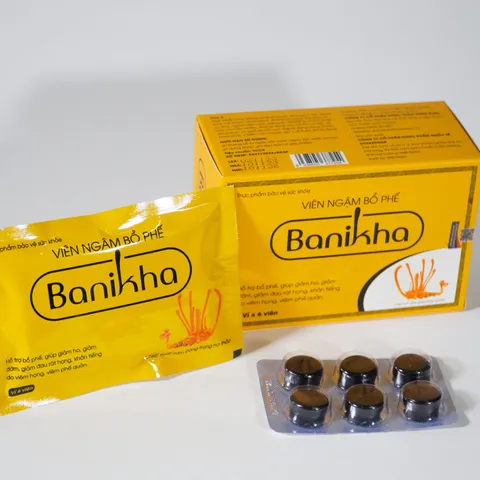 Viên Ngậm Bổ Phế Banikha - Hỗ Trợ Giảm Ho Từ Thiên Nhiên, Bảo Vệ Đường Hô Hấp, Duy Trì Sức Khỏe, Hộp 30 Viên