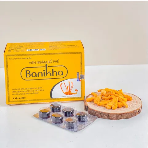 Viên Ngậm Bổ Phế Banikha - Hỗ Trợ Giảm Ho Từ Thiên Nhiên, Bảo Vệ Đường Hô Hấp, Duy Trì Sức Khỏe, Hộp 30 Viên