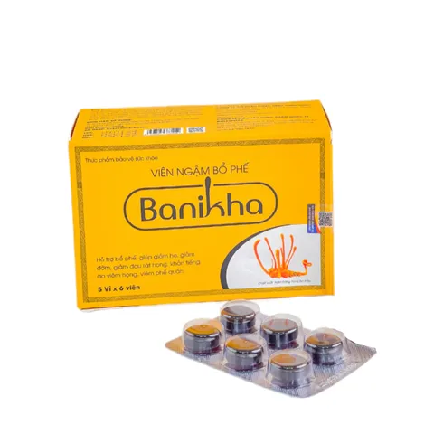 Viên Ngậm Bổ Phế Banikha - Hỗ Trợ Giảm Ho Từ Thiên Nhiên, Bảo Vệ Đường Hô Hấp, Duy Trì Sức Khỏe, Hộp 30 Viên