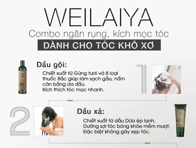 Cặp Dầu Gội Xả Gừng Hà Thủ Ô Weilaiya Zingiber Officinale Juice - Giúp Tóc Phục Hồi, Ngăn Gãy Rụng, Thơm Mát, Dành Cho Tóc Yếu, Hư Tổn