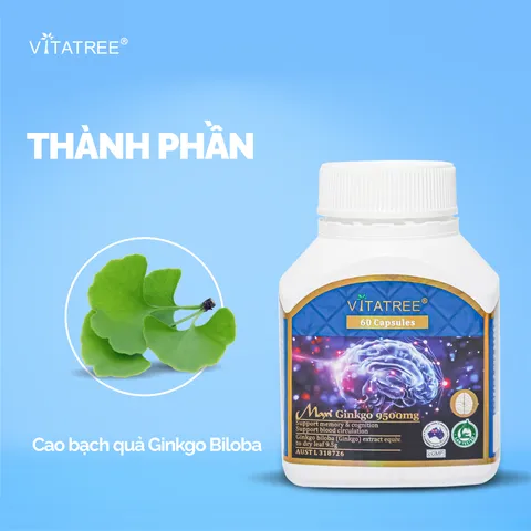 Viên Uống Bổ Não Vitatree Maxi Ginkgo 9500mg - Hỗ Trợ Tăng Cường Trí Nhớ, Duy Trì Tinh Thần Tỉnh Táo, 60 Viên Úc
