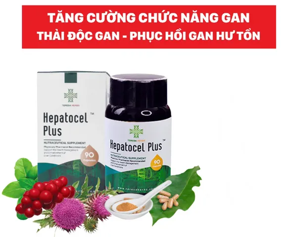 Viên uống hỗ trợ chức năng gan Teresa Herbs Hepatocel Plus - Tăng cường sức khỏe gan, chiết xuất thảo mộc tự nhiên, 90 viên.