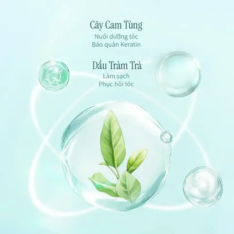 Dầu Gội Chando Himalaya Chống Gàu & Giảm Ngứa - 600ml Dầu Gội Dịu Nhẹ Từ Thiên Nhiên Cho Da Đầu Nhạy Cảm