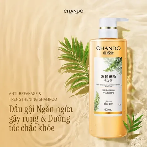 Dầu Gội Chando Himalaya Ngăn Gãy Rụng & Phục Hồi Tóc - Chai 600ml Dưỡng Tóc Chắc Khỏe, Chống Rụng, Phù Hợp Da Đầu Nhạy Cảm