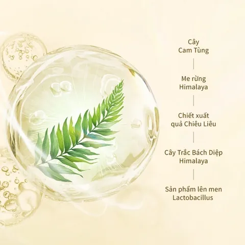 Dầu Gội Chando Himalaya Ngăn Gãy Rụng & Phục Hồi Tóc - Chai 600ml Dưỡng Tóc Chắc Khỏe, Chống Rụng, Phù Hợp Da Đầu Nhạy Cảm