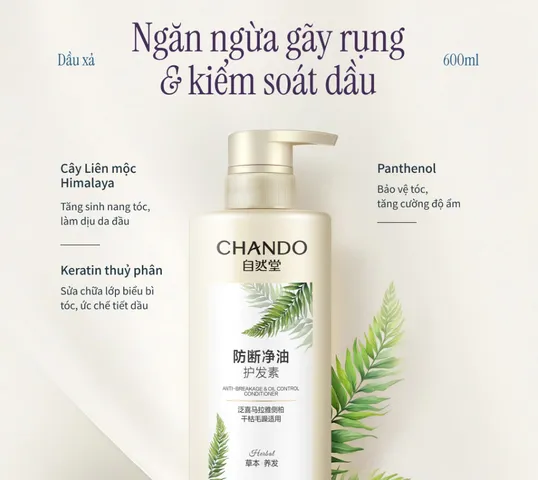 Dầu xả Chando Himalaya Ngăn Gãy Rụng & Kiểm Soát Dầu - Chăm Sóc Tóc Khỏe Mạnh, Hương Thơm Dịu Nhẹ, 600ml